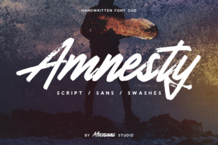 Amnesty Typeface: A Web Designer’s Review