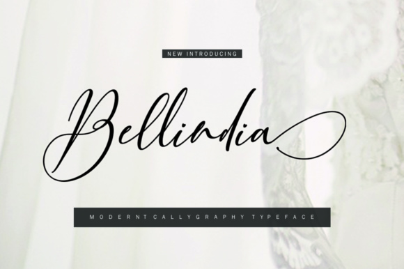Bellindia: A Modern Script Font for Web Design