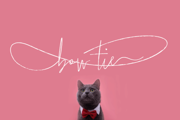 Bow Tie Font: Elevate Your Handmade Brand