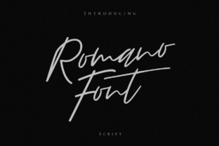Romano Font Review: A Designer’s Take on Script Amp’s Elegant Script